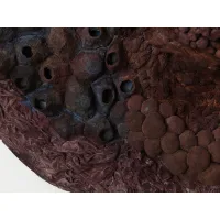  L&C Lab - Biomater - Free Shape II