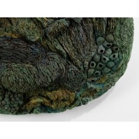  L&C Lab - Biomater - Oval Green Shape
